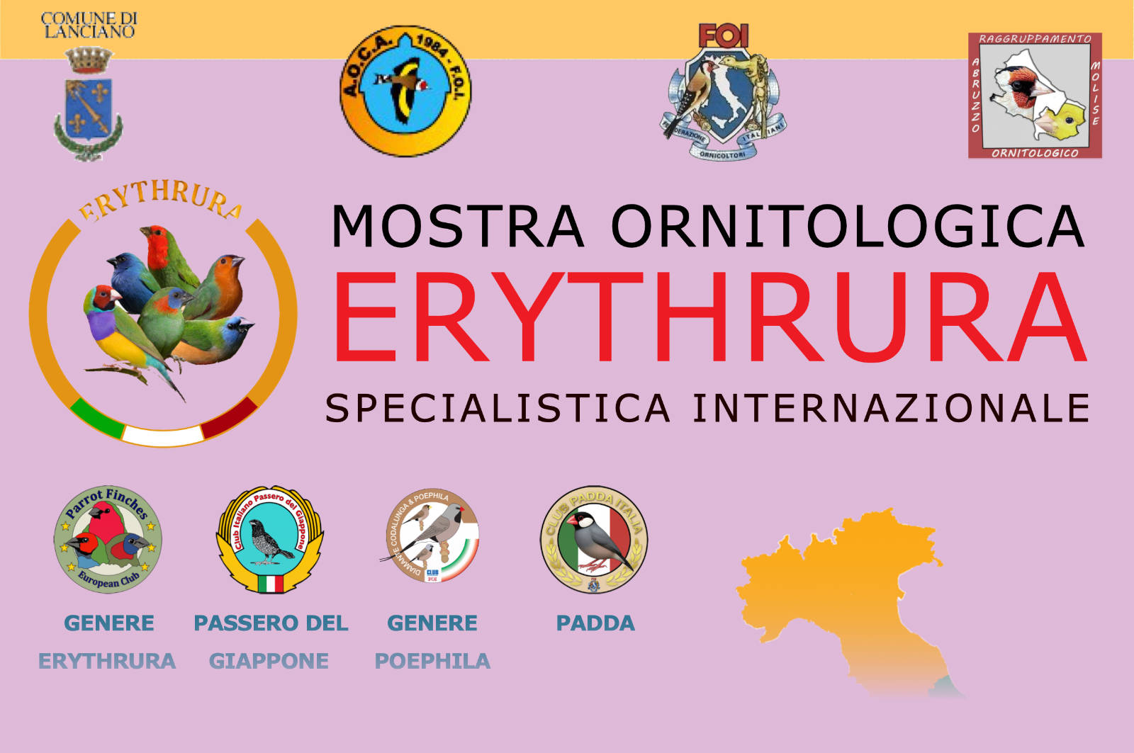 Grafica della mostra ornitologica Erythrura con i Diamanti di Gould e i loghi di organizzatori e club